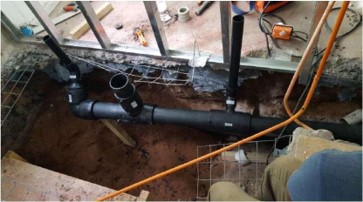 Sanitario – Las Tortugas II – PPPF