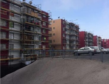 Conjunto las tortugas II – PPPF